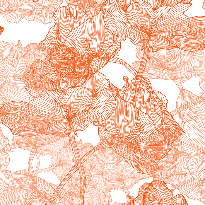 HD orange blossom wallpapers  Peakpx